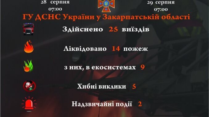 2908_ДСНС_гол