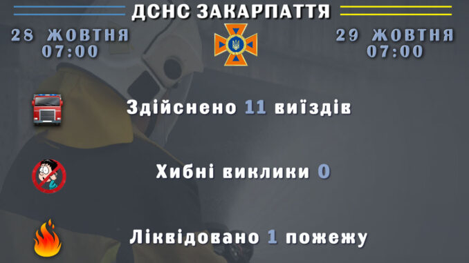 ДСНС