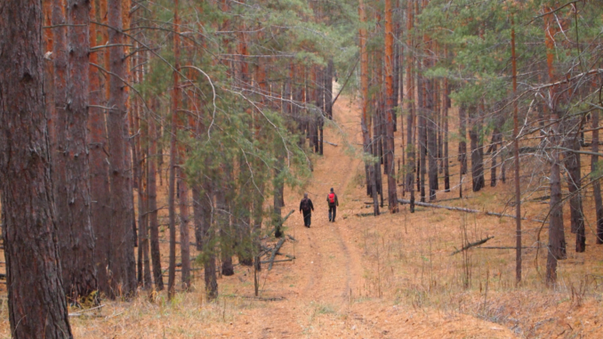 Екопарк