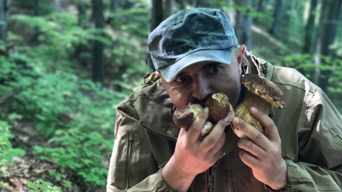 Білий королівський гриб