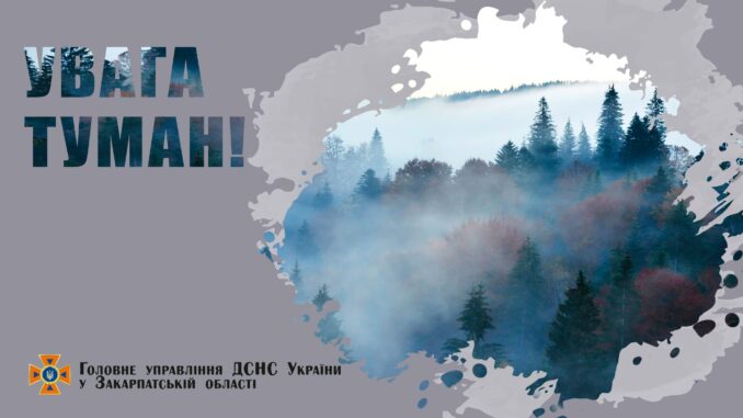 ДСНС