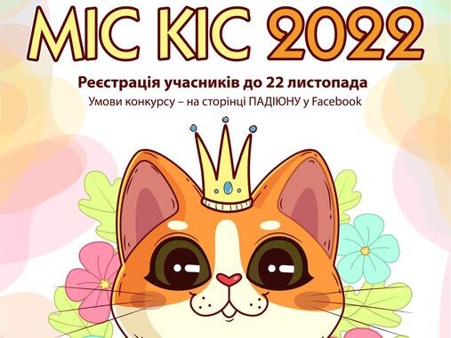КІС МІС