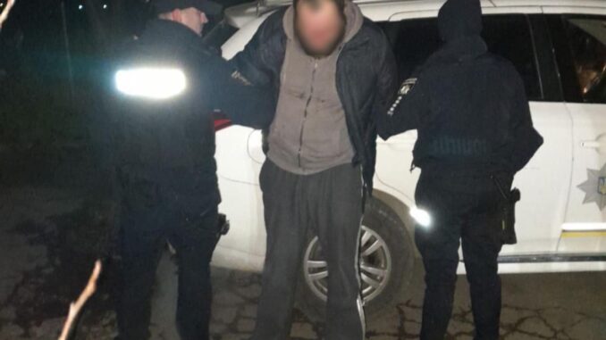 Патрульна поліція