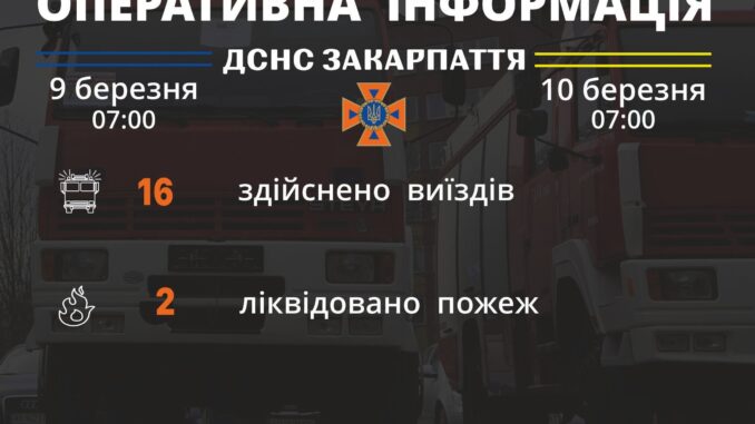 ДСНС