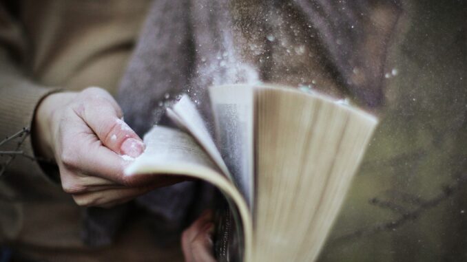 книга
