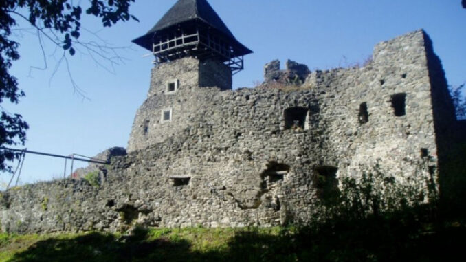 невицький замок