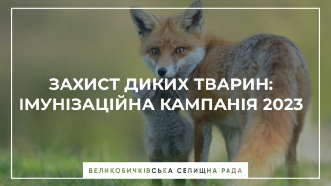 імунізація
