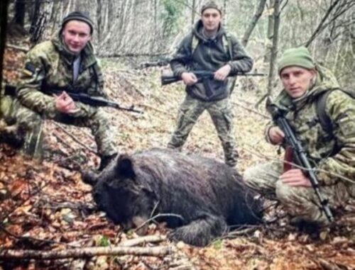 полювання