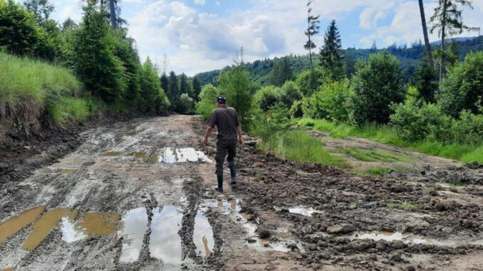 ДЕІ