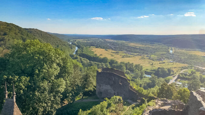 Закарпаття ліса Ужгород
