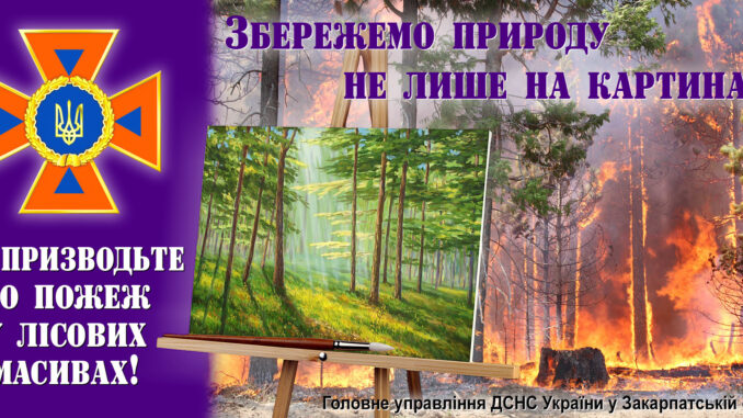 дснс