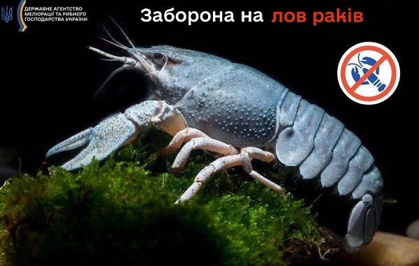 раки