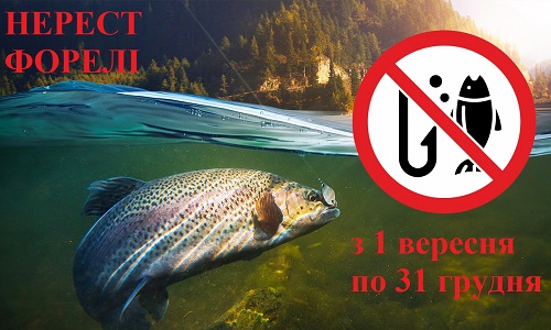 риба