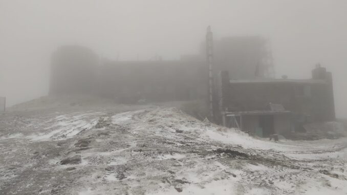 сніг