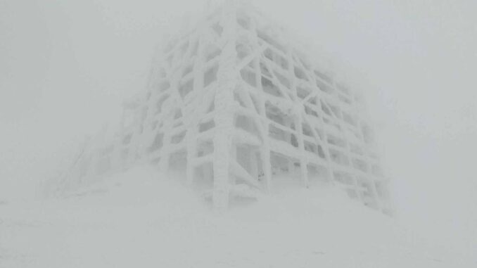 Гори