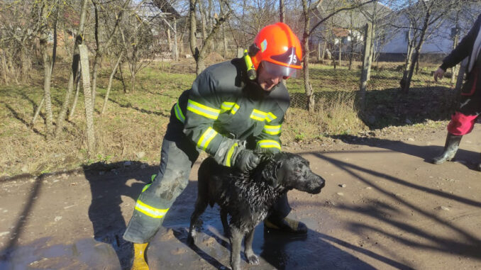 рятувальник