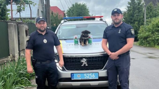 Патрульні