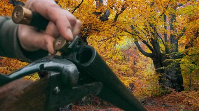 рушниця